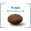 Formula STERILISED ADULT CAT - URINARY